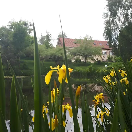 18 Personnes Avec Etang * Saint-Jacques-dʼAmbur