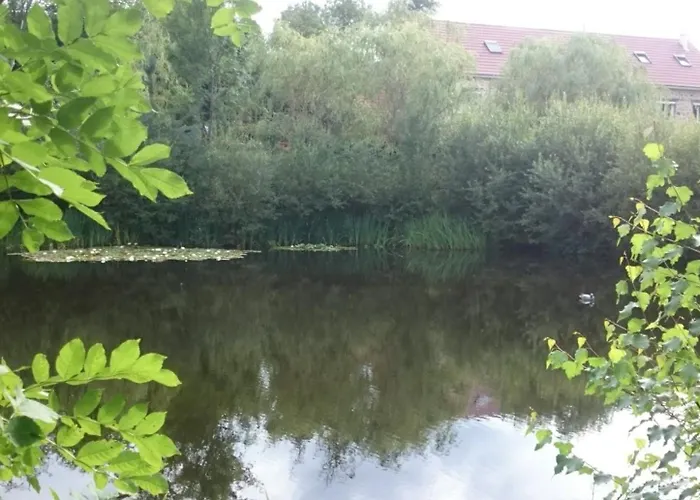 18 Personnes Avec Etang *