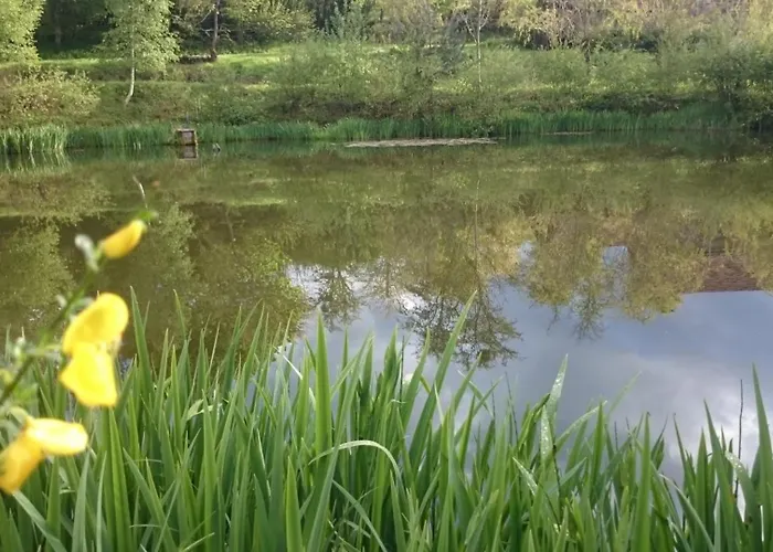 18 Personnes Avec Etang Saint-Jacques-dʼAmbur