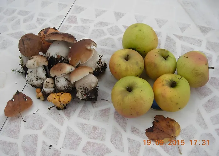 Casa de Férias 18 Personnes Avec Etang